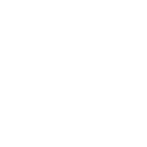 Panhandle Seawall & Infrastructure Logo White - Expert Seawall Repair & Services in Florida Panhandle